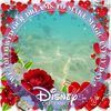 ncmickey21